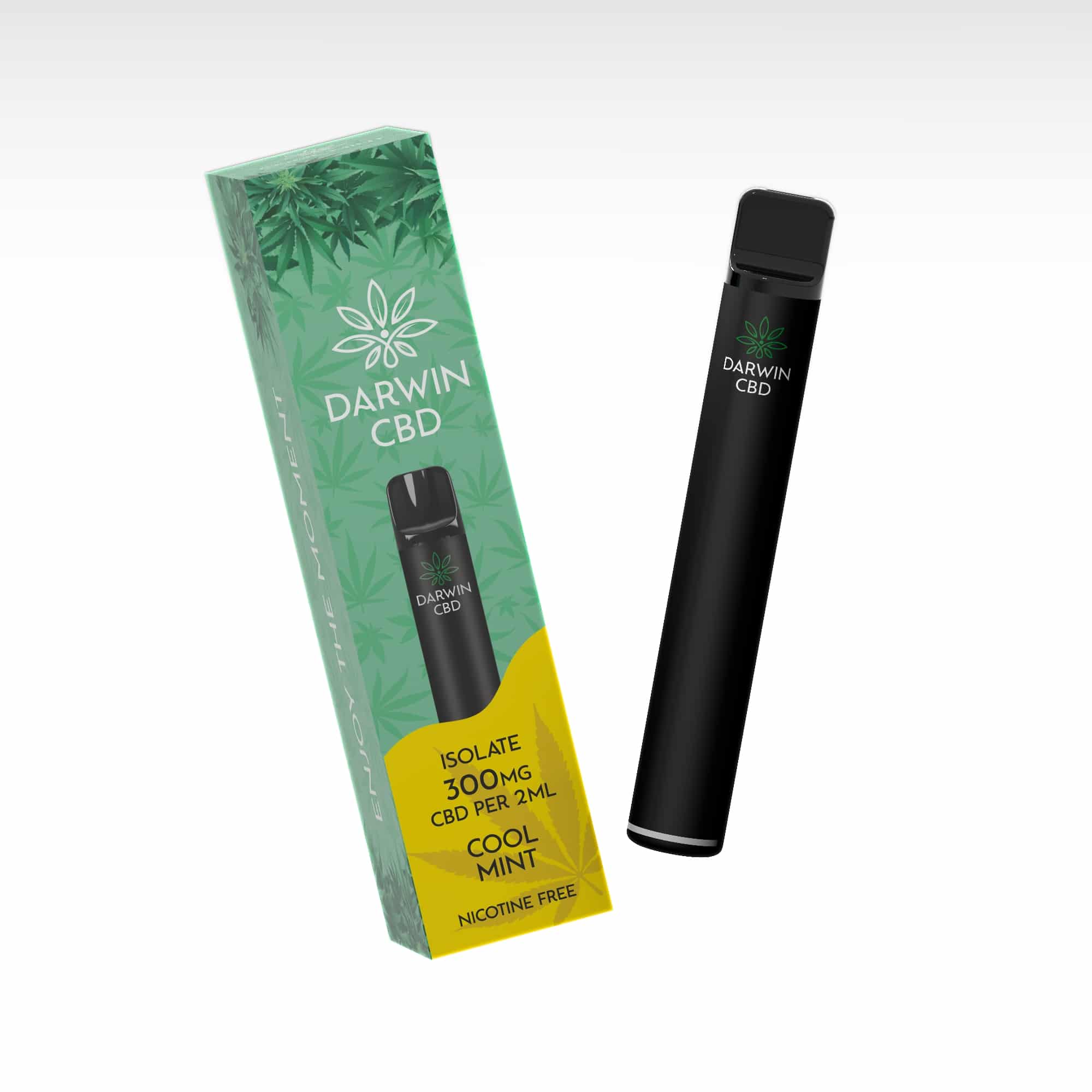 Darwin CBD - Pod Kit 600 Puffs - Cool Mint 300mg - Image 3
