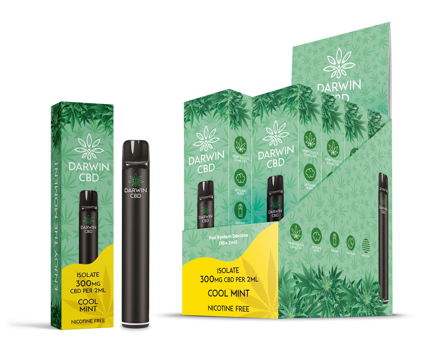 Darwin CBD - Pod Kit 600 Puffs - Cool Mint 300mg - Image 2